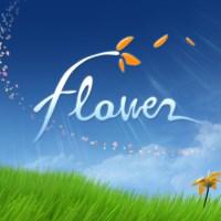 Flower cover art